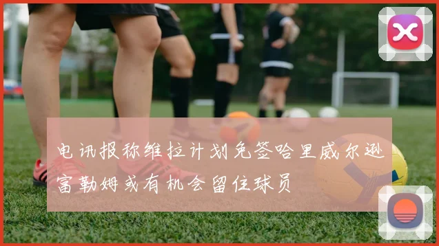 电讯报称维拉计划免签哈里威尔逊富勒姆或有机会留住球员