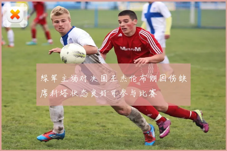 绿军主场对决国王杰伦布朗因伤缺席科塔状态良好可参与比赛