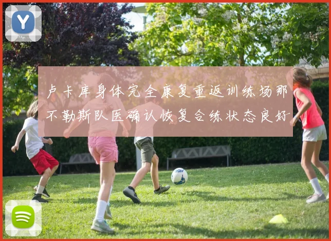 卢卡库身体完全康复重返训练场那不勒斯队医确认恢复合练状态良好