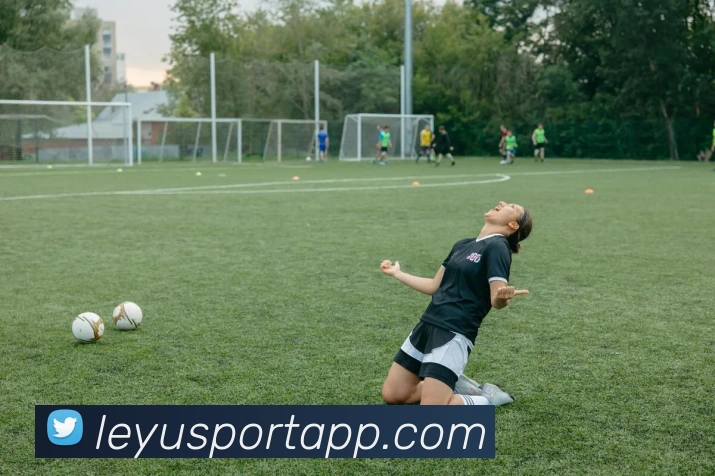 乐鱼体育平台生态图